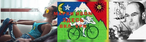 дмт Алексеевка