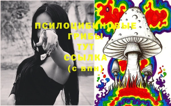 дмт Алексеевка