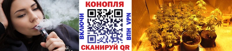 купить   Сарапул  Марихуана план 